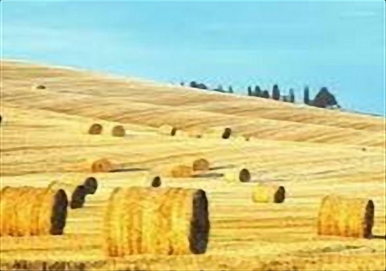 Ferienwohnung La Casa Di Nena Vivo dʼOrcia Exterior foto